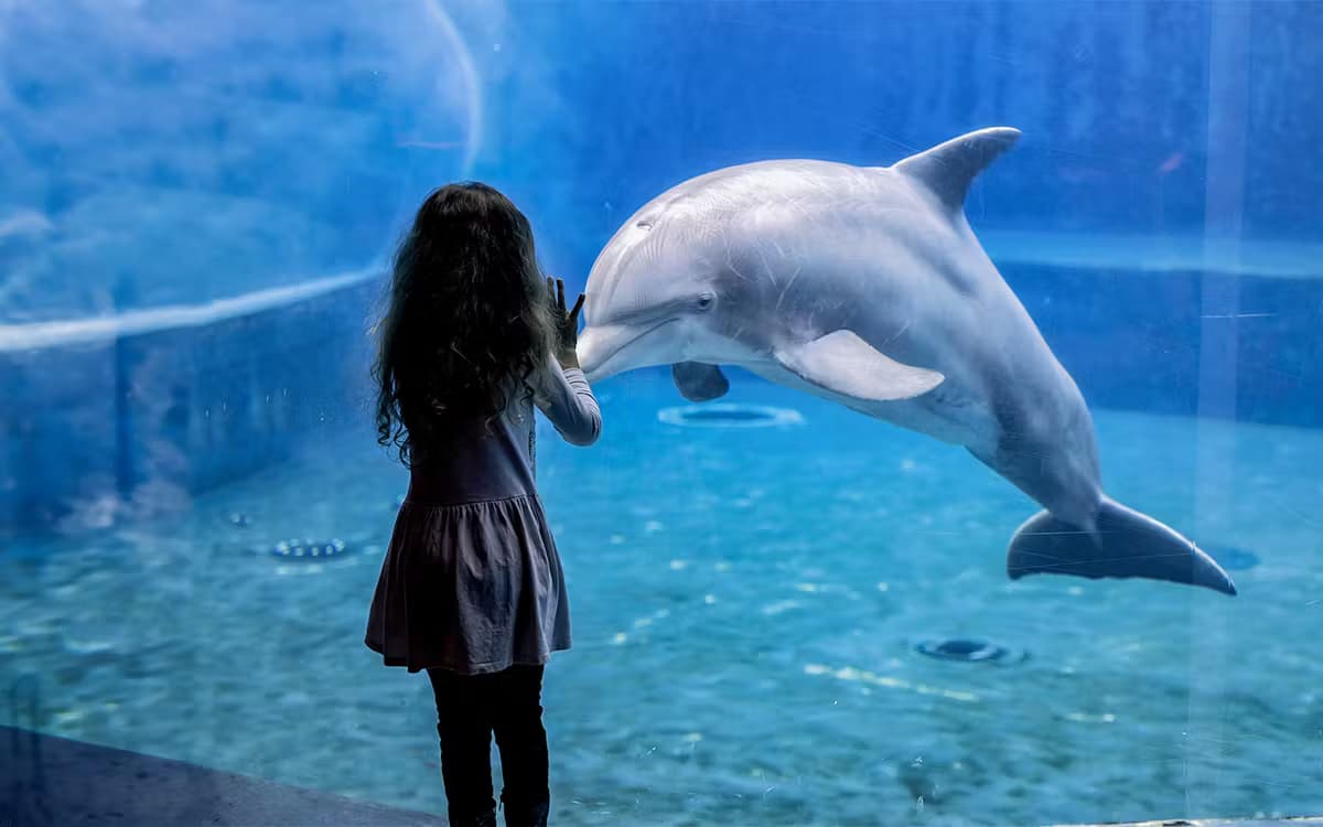 Aquarium of Genoa – Genoa – Italy